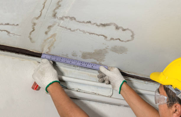 Reliable Water Damage contractor in Harrisville, WV by Water Damage Irwin